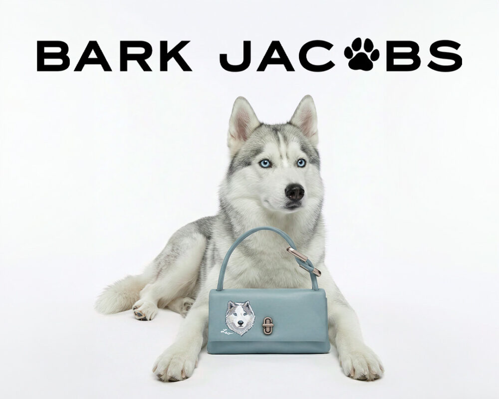 Bark Jacobs Retail with Logo 8